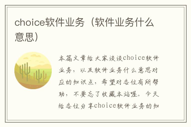 choice软件业务（软件业务什么意思）