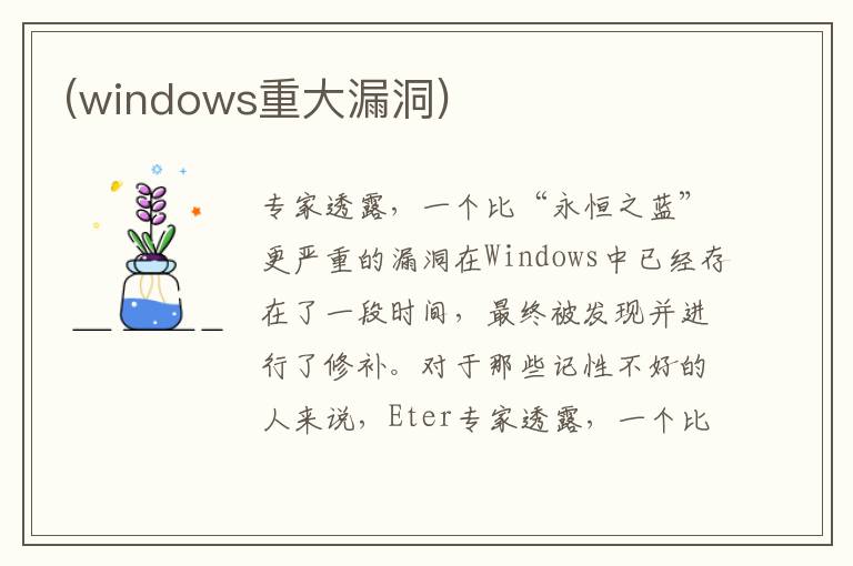 (windows重大漏洞)