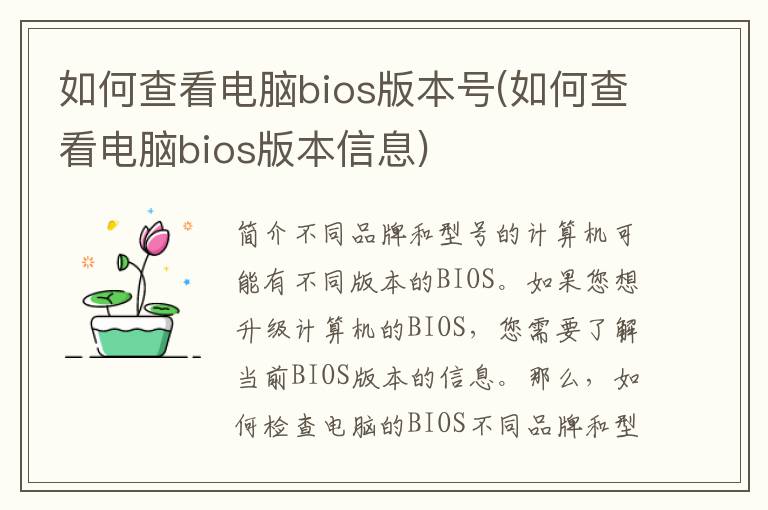 如何查看电脑bios版本号(如何查看电脑bios版本信息)