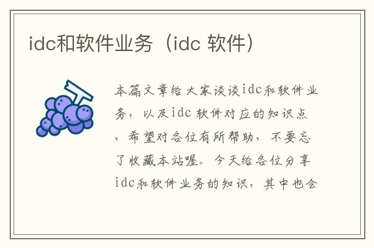 idc和软件业务（idc 软件）