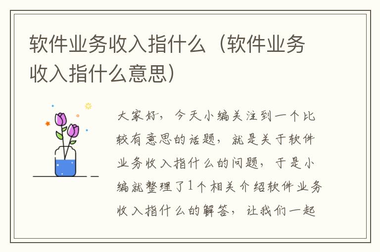 软件业务收入指什么（软件业务收入指什么意思）