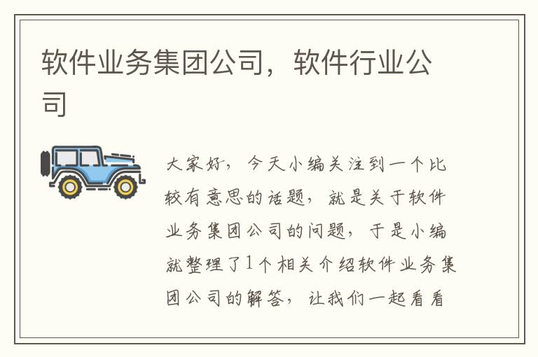 软件业务集团公司，软件行业公司