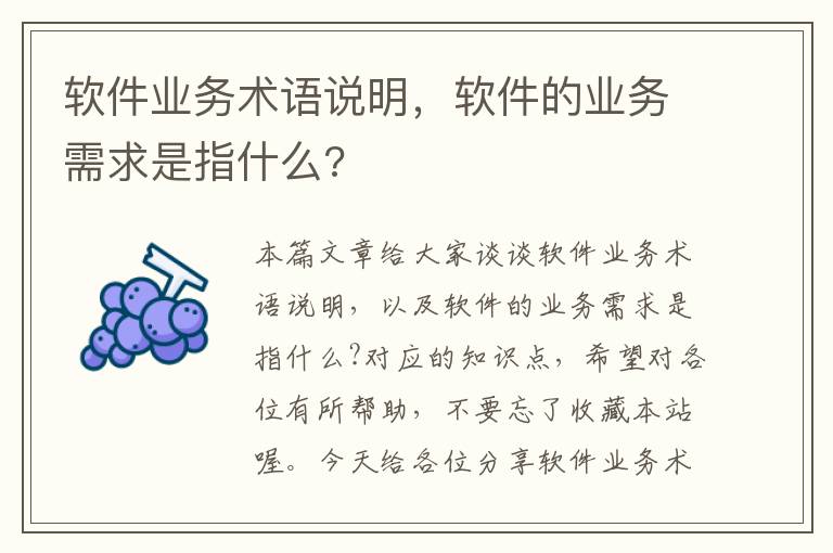 软件业务术语说明，软件的业务需求是指什么?