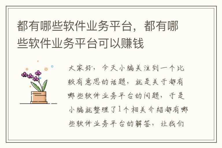 都有哪些软件业务平台，都有哪些软件业务平台可以赚钱