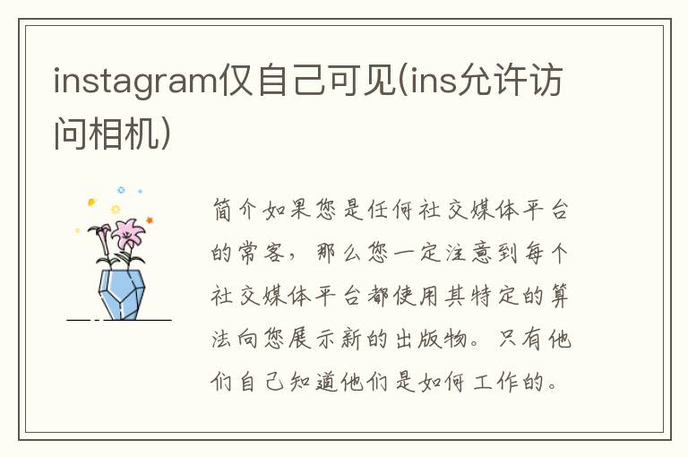 instagram仅自己可见(ins允许访问相机)