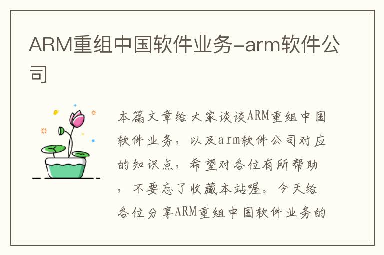 ARM重组中国软件业务-arm软件公司