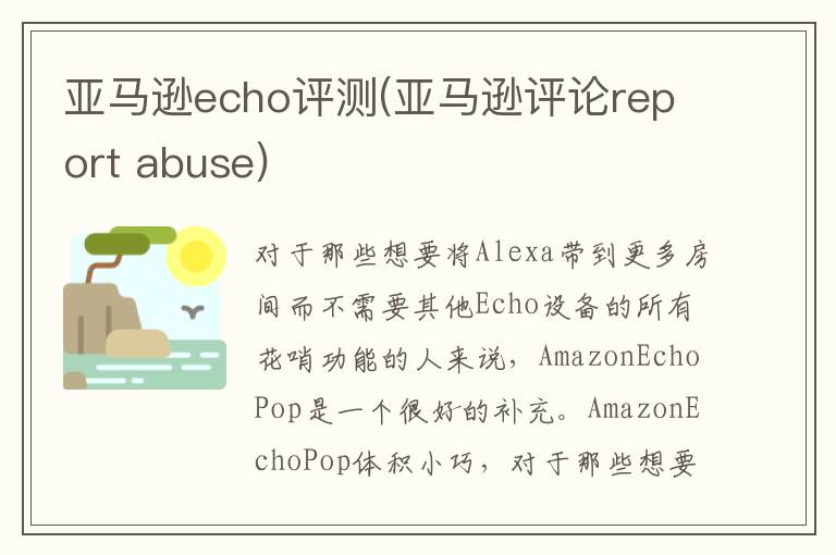 亚马逊echo评测(亚马逊评论report abuse)