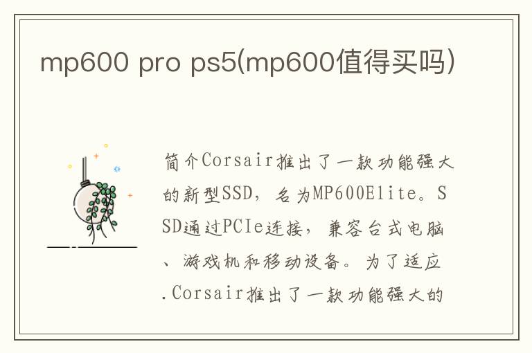 mp600 pro ps5(mp600值得买吗)