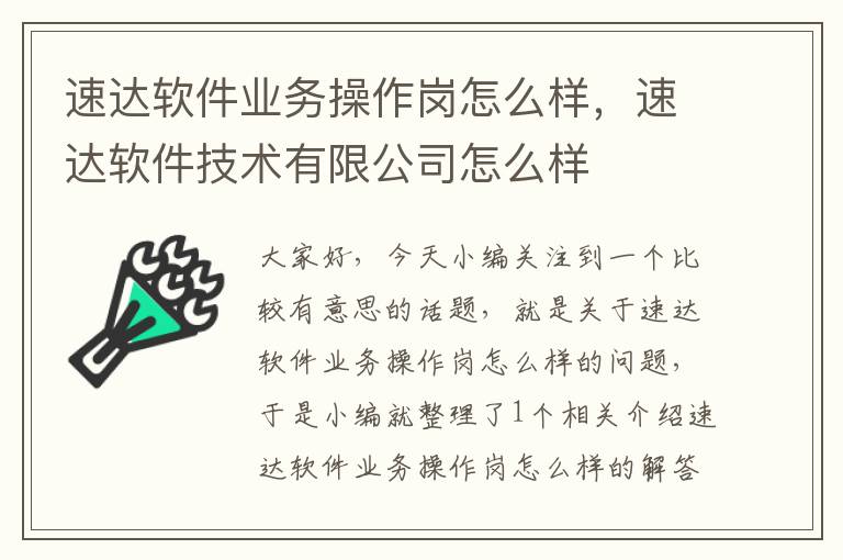 速达软件业务操作岗怎么样，速达软件技术有限公司怎么样