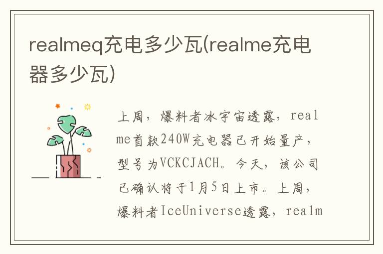 realmeq充电多少瓦(realme充电器多少瓦)