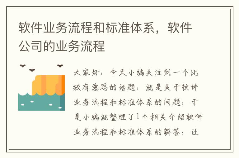 软件业务流程和标准体系，软件公司的业务流程