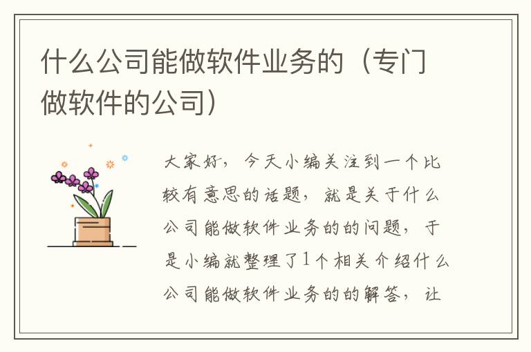 什么公司能做软件业务的（专门做软件的公司）