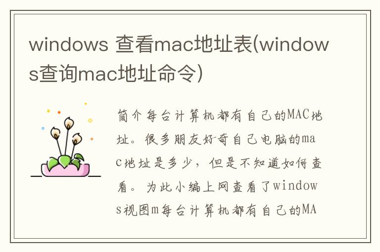 windows 查看mac地址表(windows查询mac地址命令)