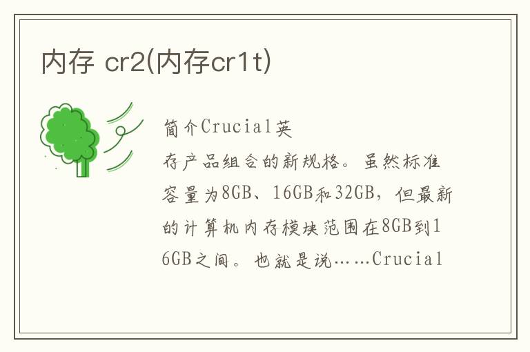 内存 cr2(内存cr1t)