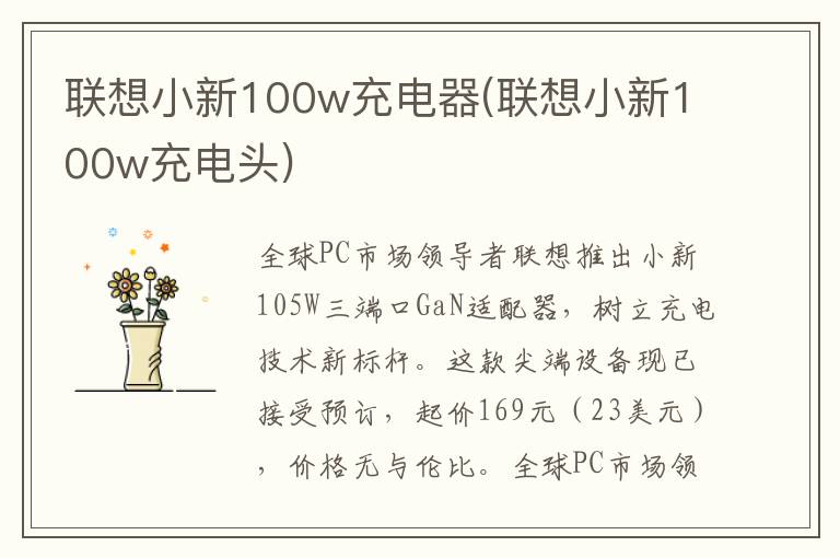 联想小新100w充电器(联想小新100w充电头)