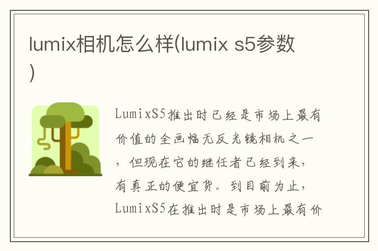 lumix相机怎么样(lumix s5参数)