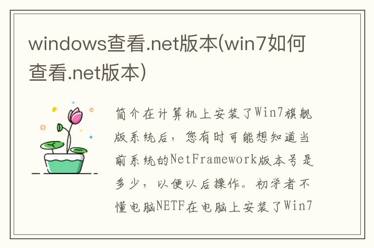 windows查看.net版本(win7如何查看.net版本)