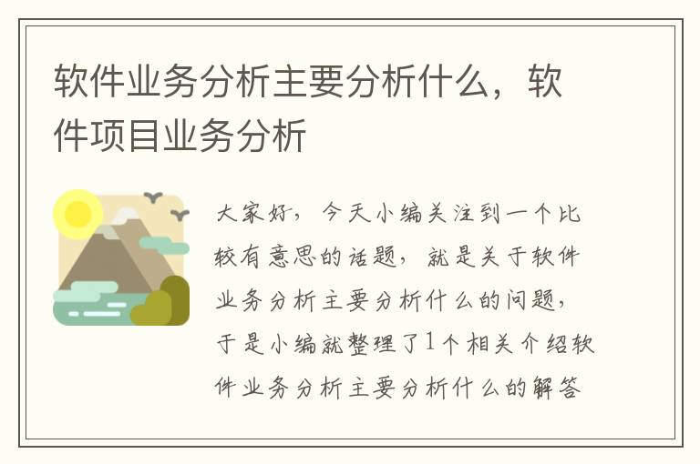 软件业务分析主要分析什么，软件项目业务分析