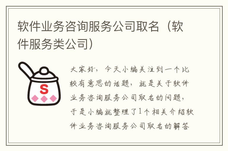 软件业务咨询服务公司取名（软件服务类公司）