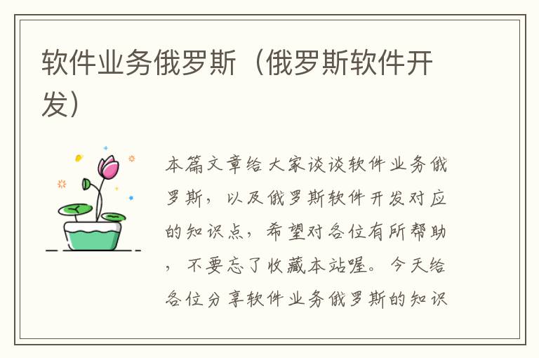 软件业务俄罗斯（俄罗斯软件开发）