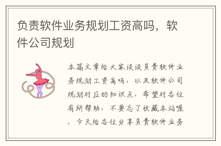 负责软件业务规划工资高吗，软件公司规划