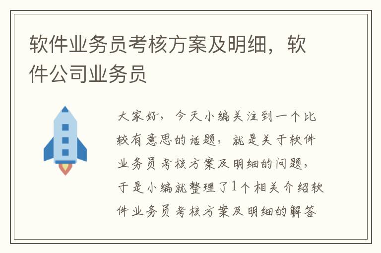 软件业务员考核方案及明细，软件公司业务员