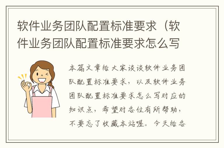 软件业务团队配置标准要求（软件业务团队配置标准要求怎么写）