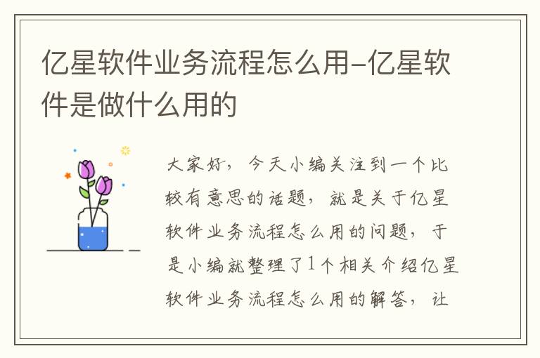 亿星软件业务流程怎么用-亿星软件是做什么用的