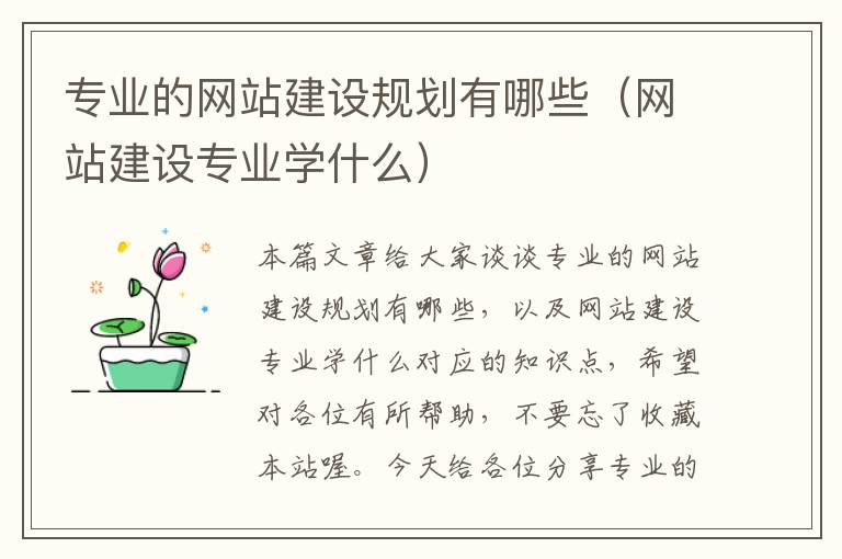 专业的网站建设规划有哪些（网站建设专业学什么）