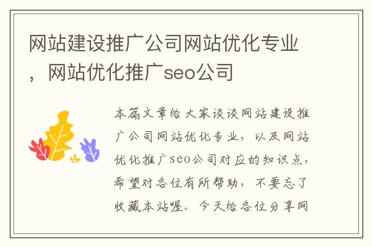 网站建设推广公司网站优化专业，网站优化推广seo公司