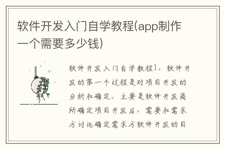 软件开发入门自学教程(app制作一个需要多少钱)