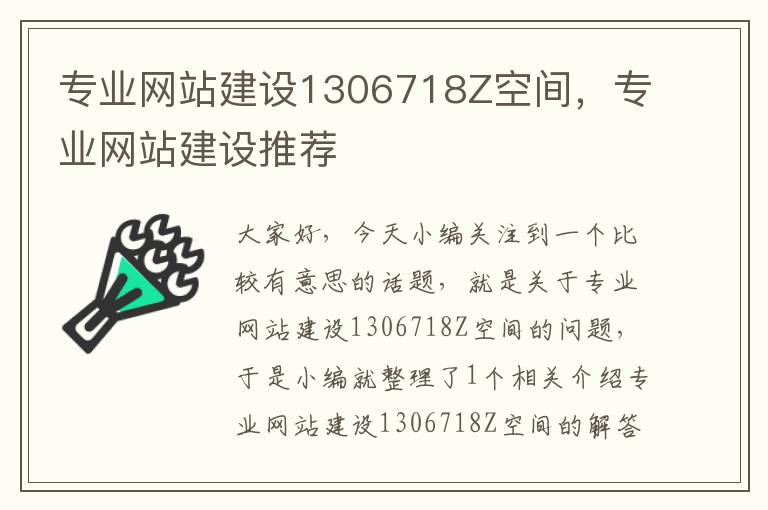 专业网站建设1306718Z空间，专业网站建设推荐