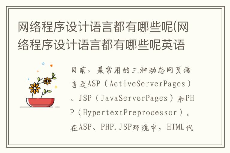 网络程序设计语言都有哪些呢(网络程序设计语言都有哪些呢英语)