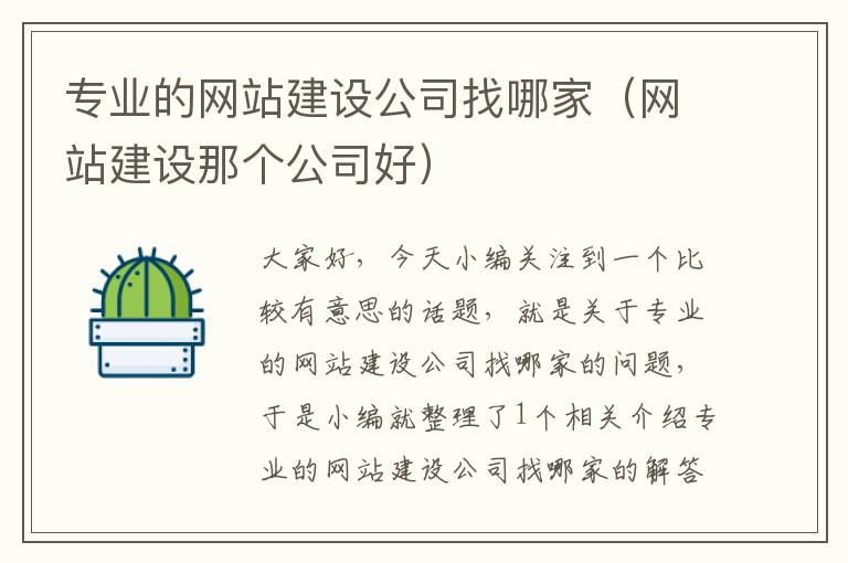 专业的网站建设公司找哪家（网站建设那个公司好）