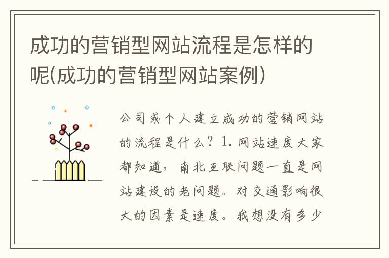 成功的营销型网站流程是怎样的呢(成功的营销型网站案例)