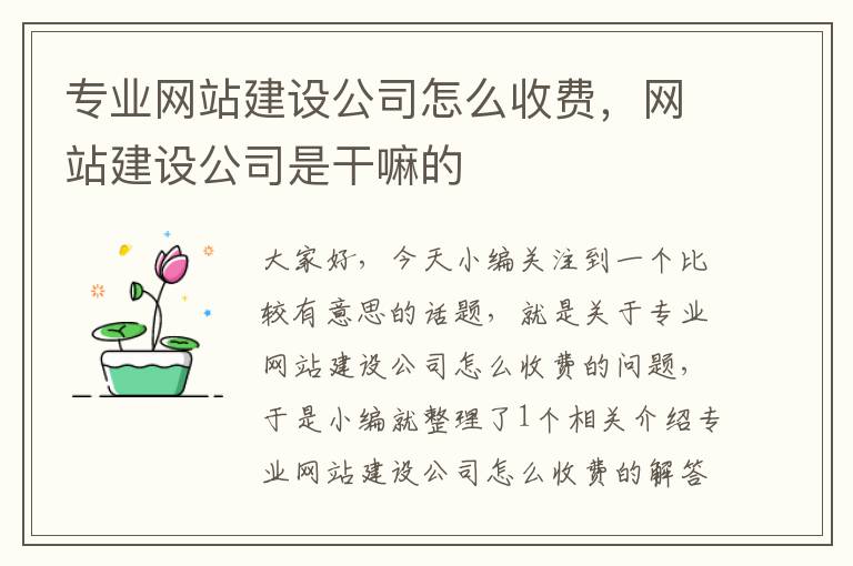 专业网站建设公司怎么收费，网站建设公司是干嘛的