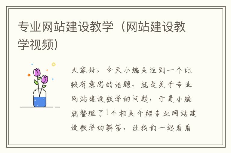 专业网站建设教学（网站建设教学视频）