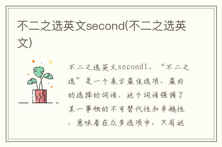 不二之选英文second(不二之选英文)