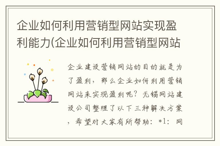 企业如何利用营销型网站实现盈利能力(企业如何利用营销型网站实现盈利模式)