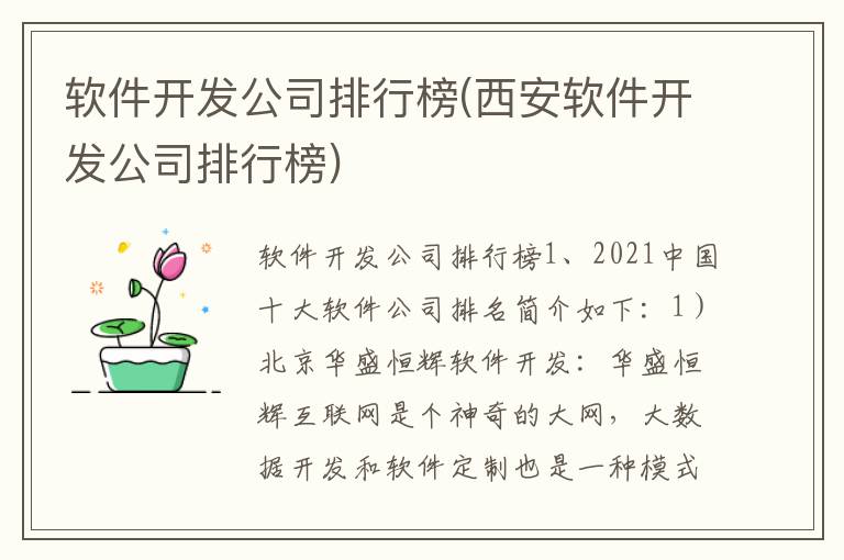 软件开发公司排行榜(西安软件开发公司排行榜)