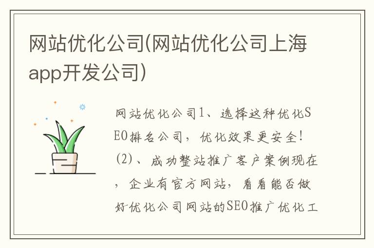 网站优化公司(网站优化公司上海app开发公司)