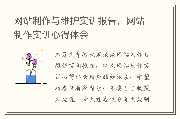 网站制作与维护实训报告，网站制作实训心得体会