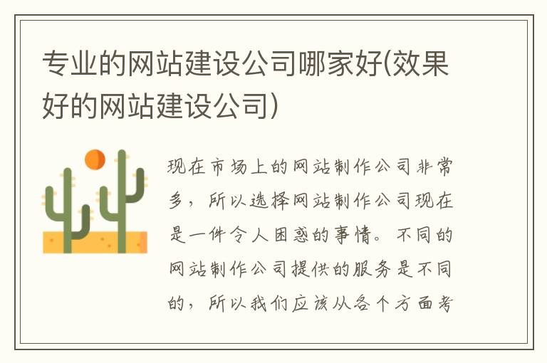 专业的网站建设公司哪家好(效果好的网站建设公司)