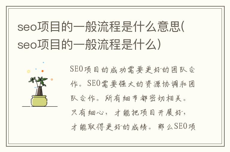 seo项目的一般流程是什么意思(seo项目的一般流程是什么)