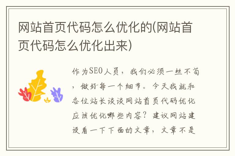 网站首页代码怎么优化的(网站首页代码怎么优化出来)